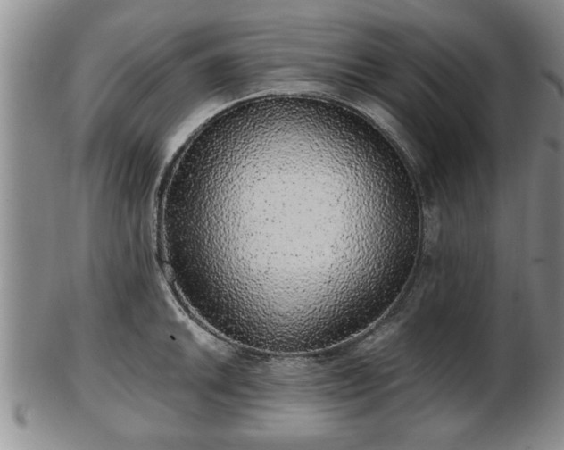 X0000103221046200809040958