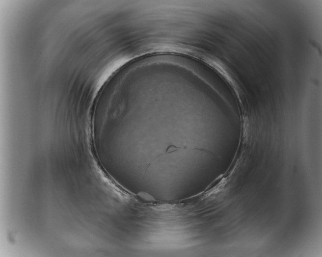 X0000103221048200809040958