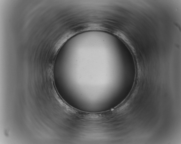 X0000103221049200809040958