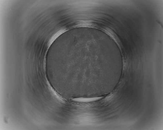 X0000103221050200809040958