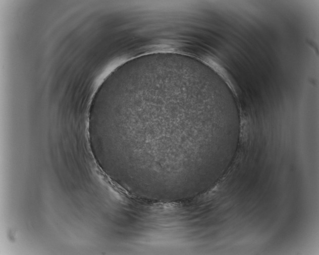 X0000103221051200809040958