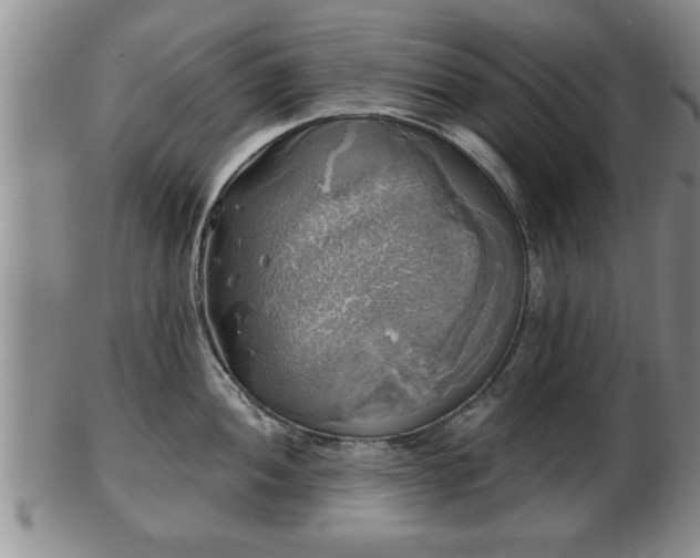 X0000103221052200809040958