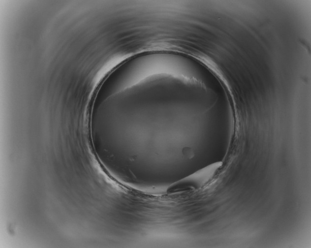 X0000103221053200809040958