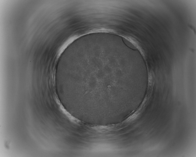 X0000103221054200809040958