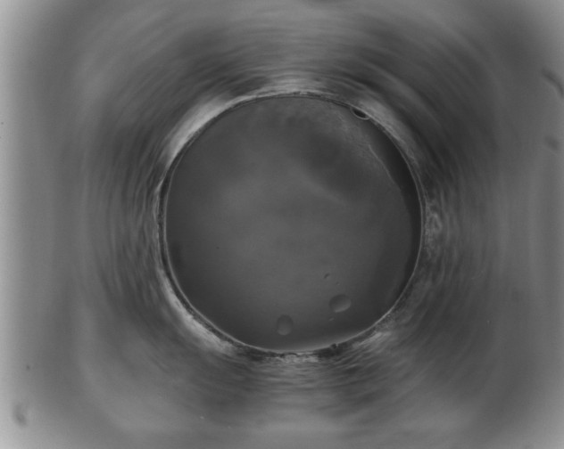 X0000103221055200809040959