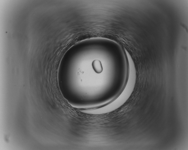 X0000103221057200809040958