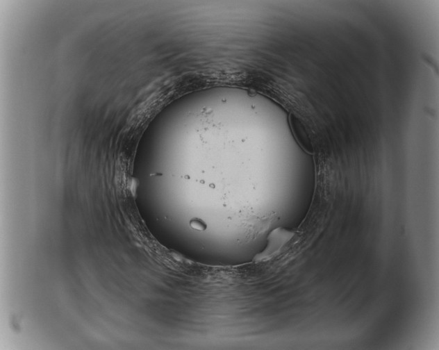 X0000103221058200809040958