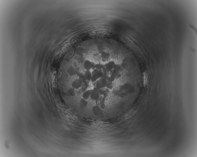 X0000103221059200809040958