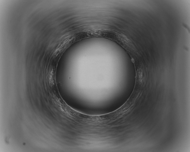 X0000103221060200809040958