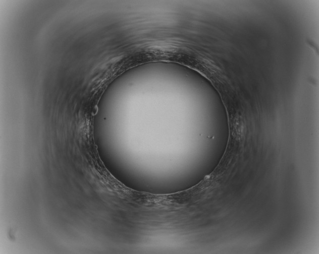 X0000103221061200809040958