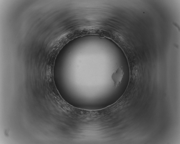 X0000103221062200809040958