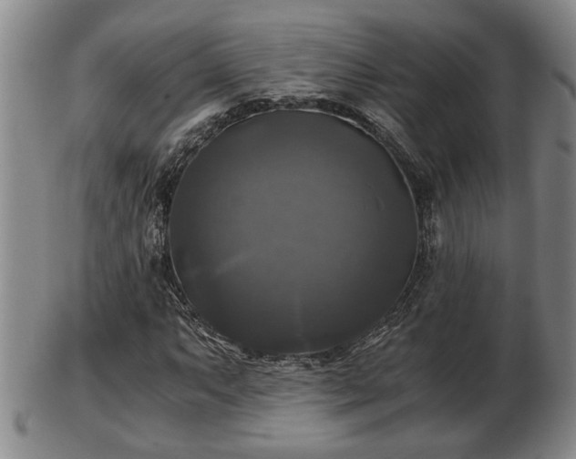 X0000103221063200809040958