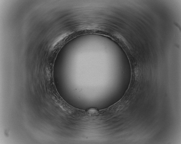 X0000103221064200809040958