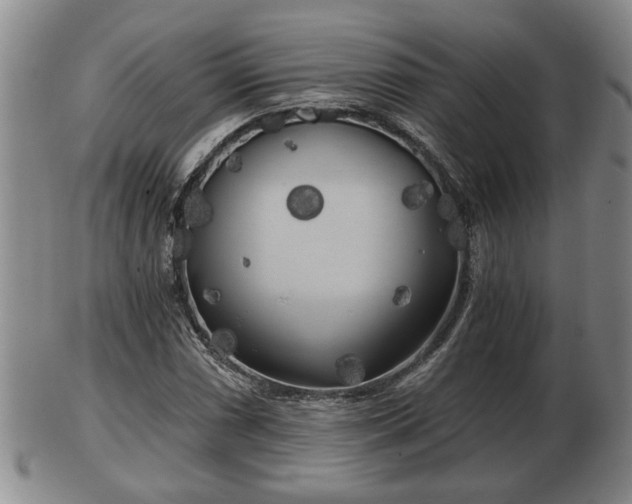 X0000103221066200809040958