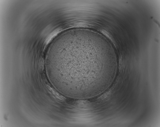 X0000103221067200809040958