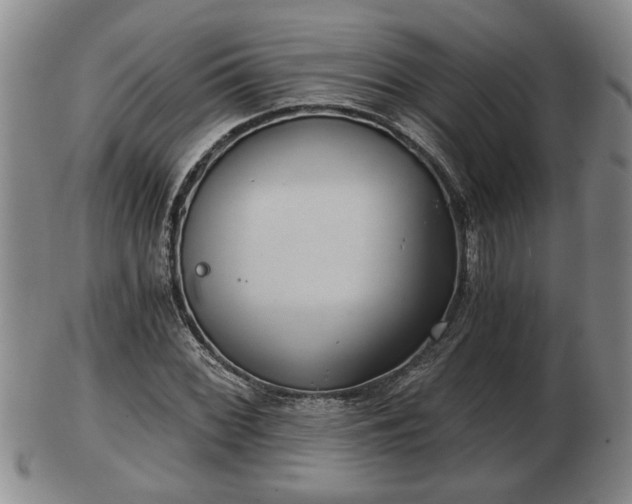 X0000103221068200809040958