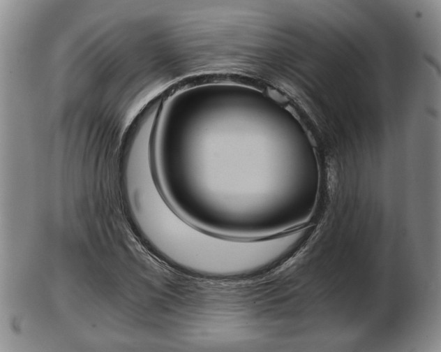 X0000103221069200809040958