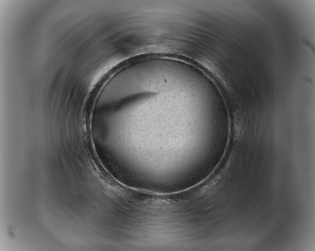 X0000103221070200809040958