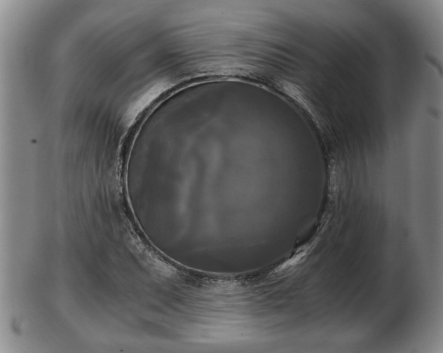 X0000103221071200809040957