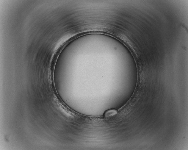 X0000103221072200809040957