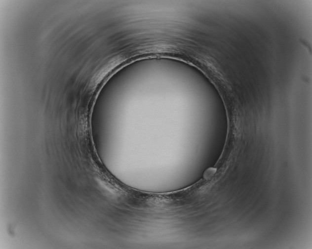 X0000103221073200809040957