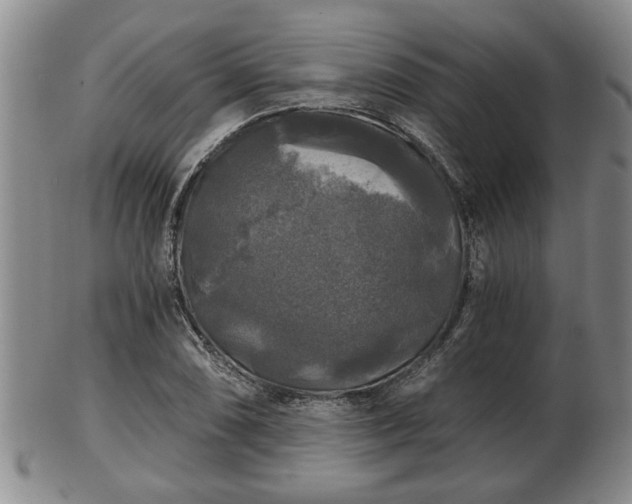 X0000103221074200809040957