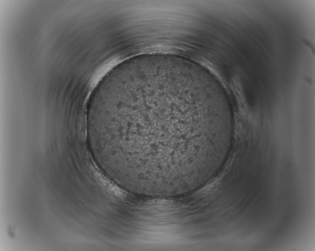 X0000103221075200809040957