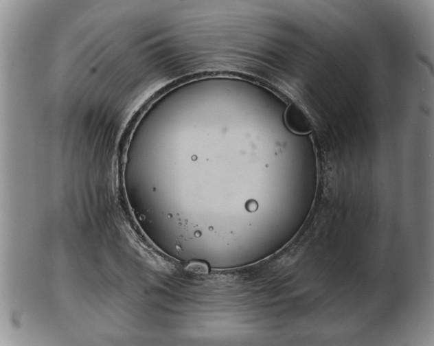 X0000103221076200809040957