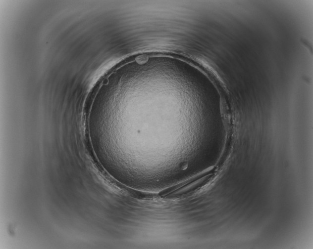 X0000103221077200809040957