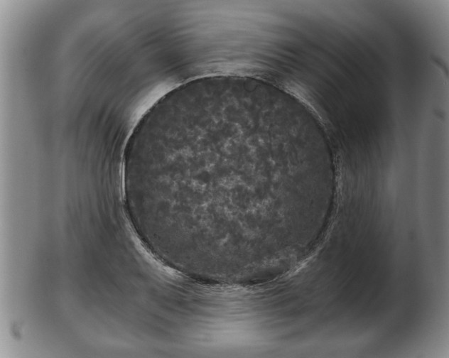 X0000103221079200809040957