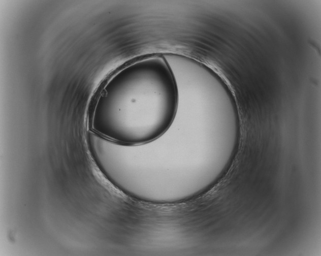 X0000103221080200809040957