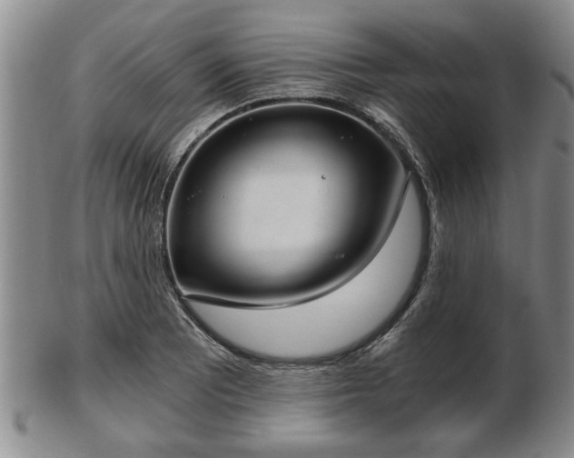 X0000103221081200809040957