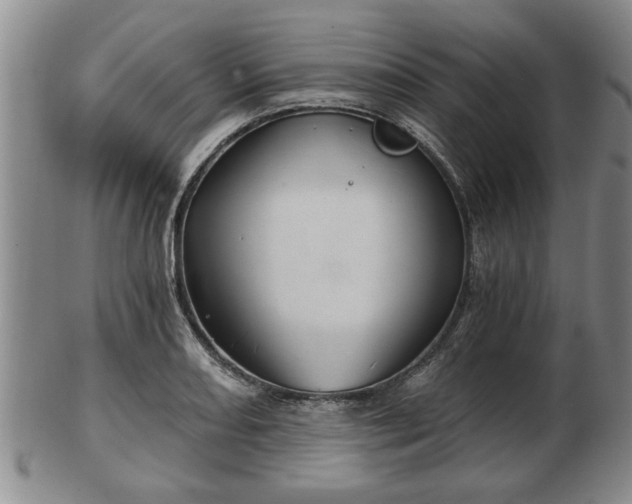 X0000103221082200809040957