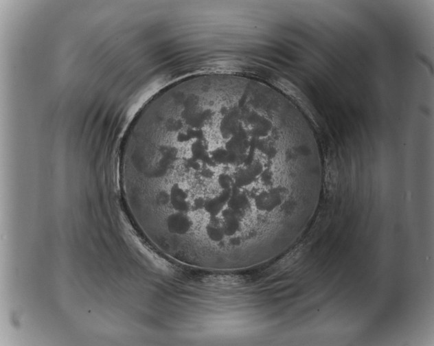 X0000103221083200809040957