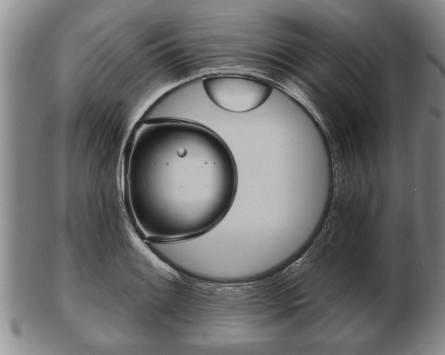 X0000103221084200809040957