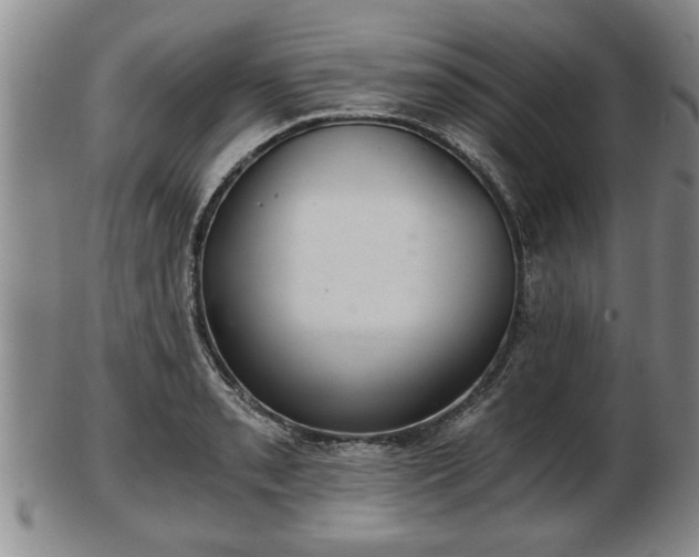 X0000103221085200809040957