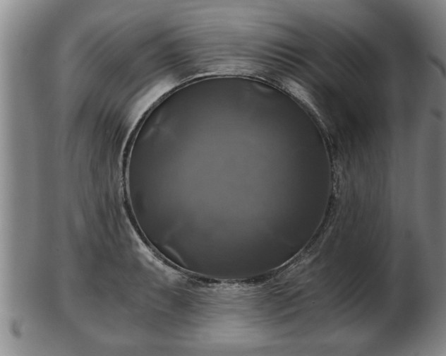 X0000103221087200809040957