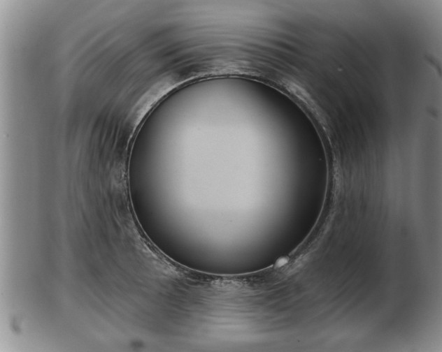 X0000103221089200809040957