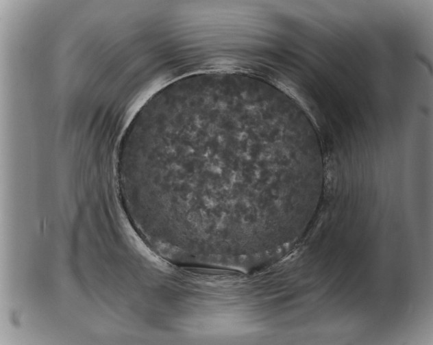 X0000103221091200809040957