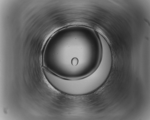 X0000103221092200809040957