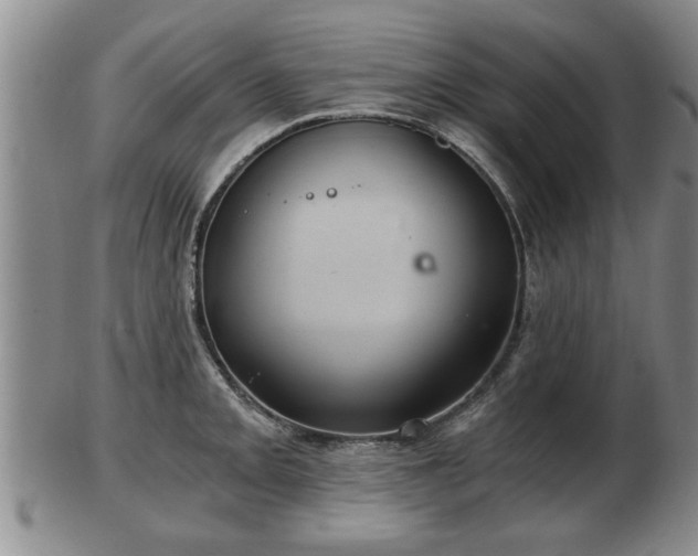 X0000103221093200809040957