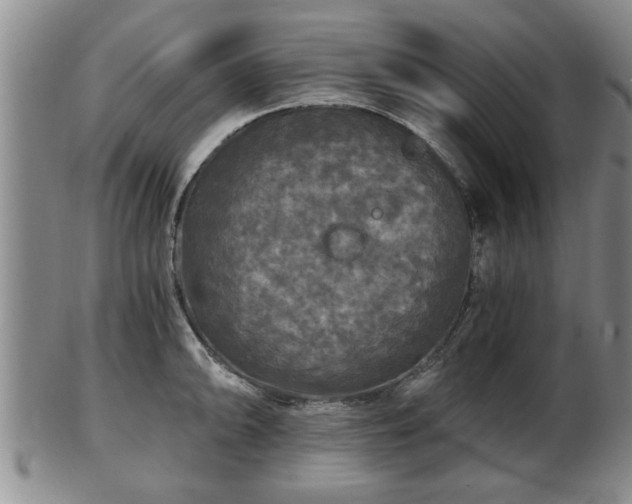 X0000103221094200809040957