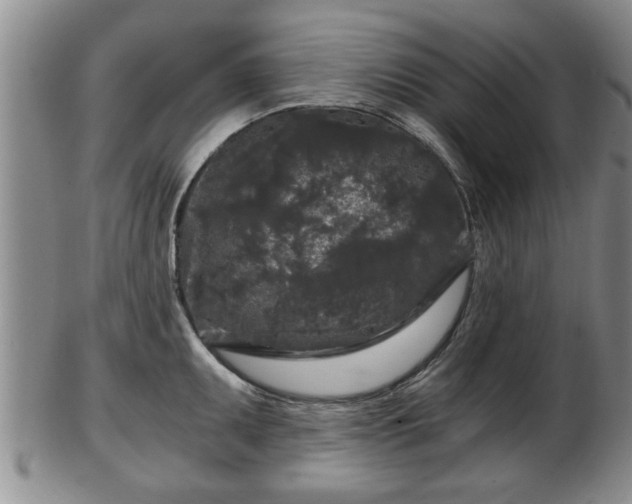 X0000103221095200809040957