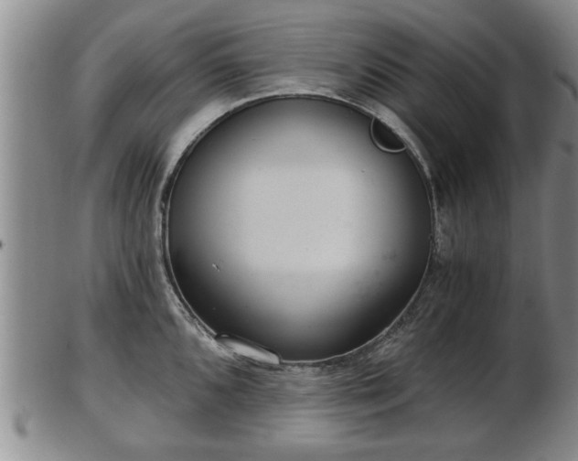 X0000103221096200809040957