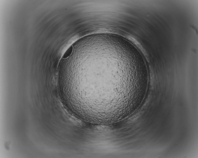 X0000103221097200809040957