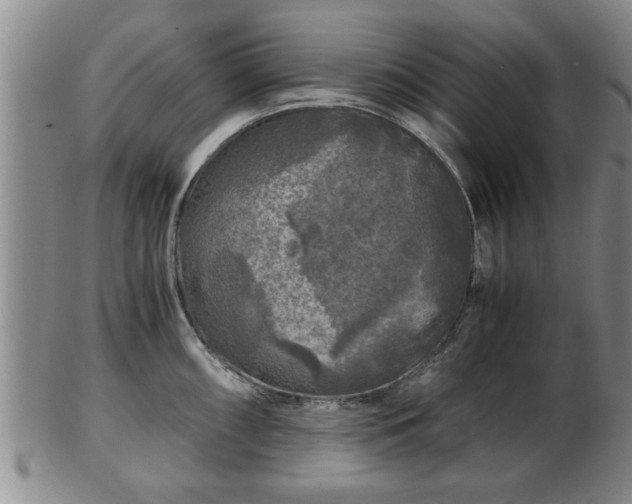 X0000103221098200809040957