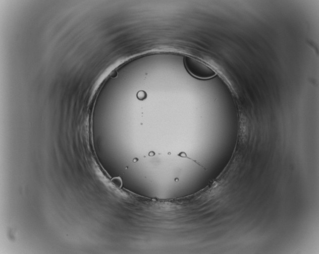 X0000103221100200809040957