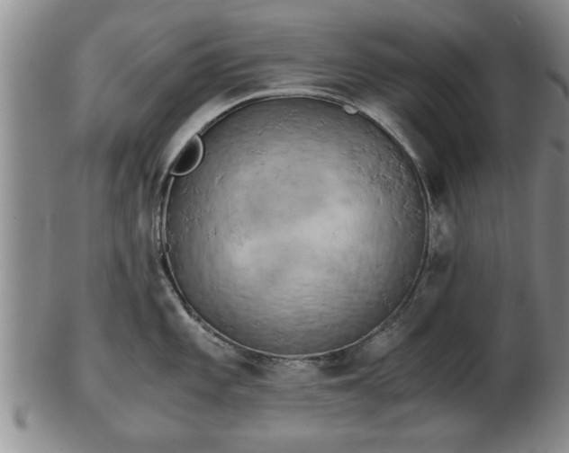 X0000103221101200809040957