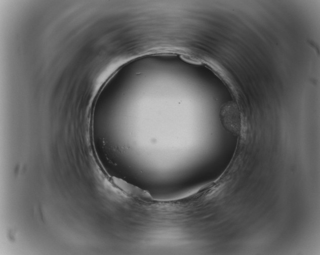 X0000103221102200809040957