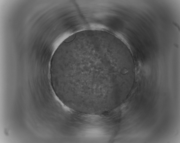 X0000103221103200809040957